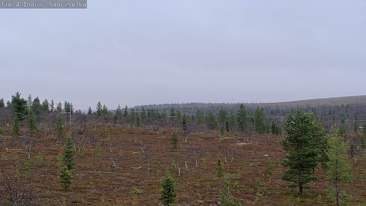 Kelikamerat Kuva Tie 4 Inari, Saariselkä, Kaunispää, Inari, Lappi