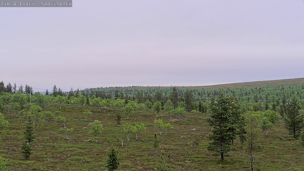 Kelikamerat Kuva Tie 4 Inari, Saariselkä, Kaunispää, Inari, Lappi