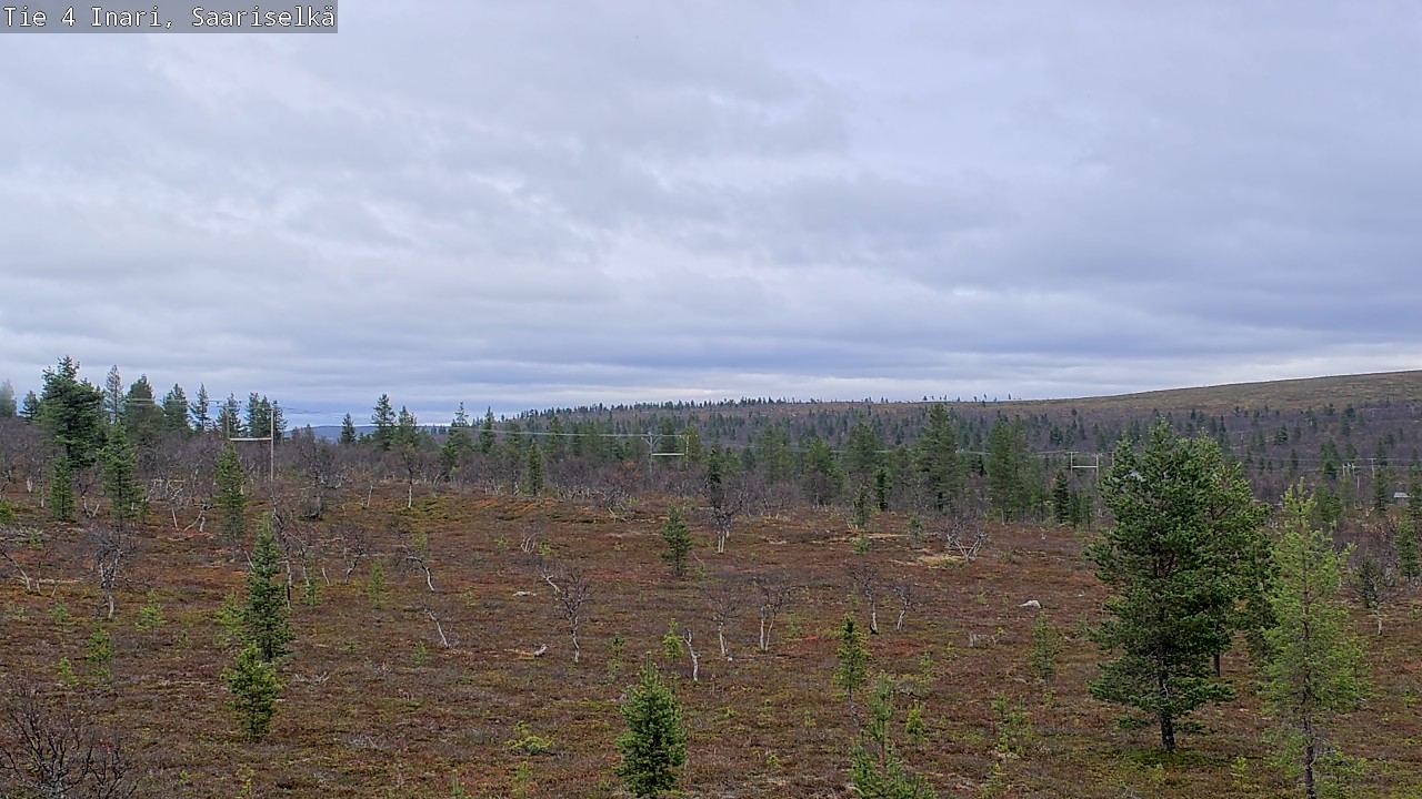 Kelikamerat Kuva Tie 4 Inari, Saariselkä, Kaunispää, Inari, Lappi