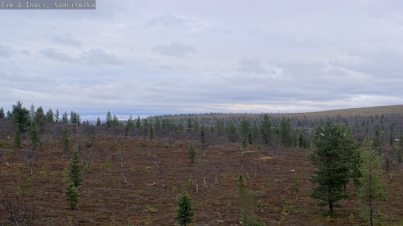 Kelikamerat Kuva Tie 4 Inari, Saariselkä, Kaunispää, Inari, Lappi