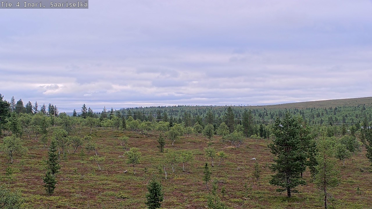 Kelikamerat Kuva Tie 4 Inari, Saariselkä, Kaunispää, Inari, Lappi
