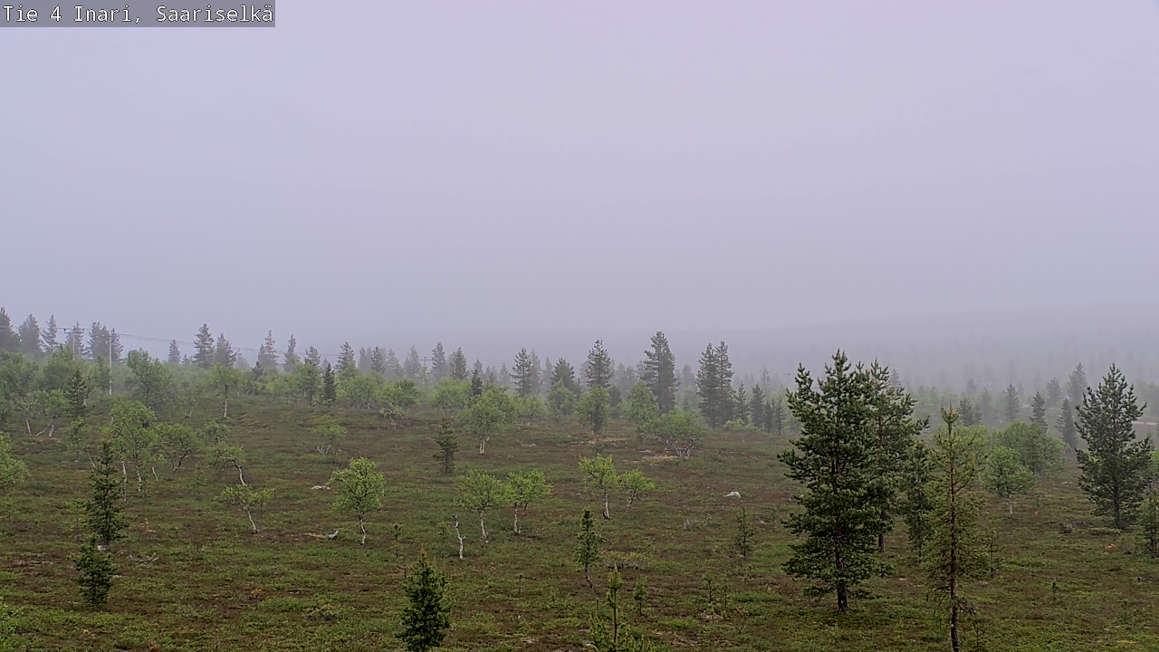Kelikamerat Kuva Tie 4 Inari, Saariselkä, Kaunispää, Inari, Lappi