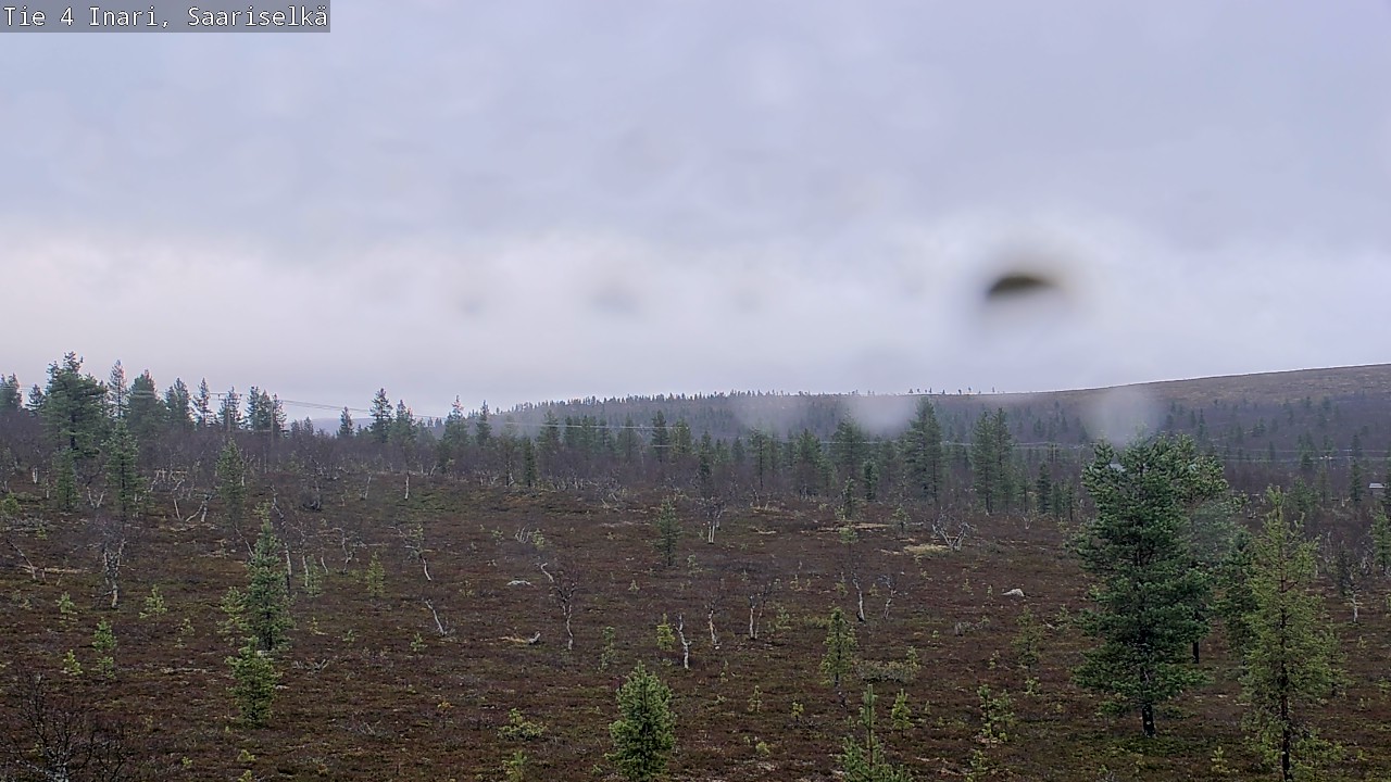 Kelikamerat Kuva Tie 4 Inari, Saariselkä, Kaunispää, Inari, Lappi