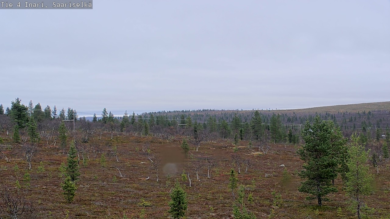Kelikamerat Kuva Tie 4 Inari, Saariselkä, Kaunispää, Inari, Lappi