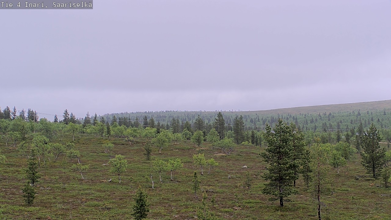Kelikamerat Kuva Tie 4 Inari, Saariselkä, Kaunispää, Inari, Lappi