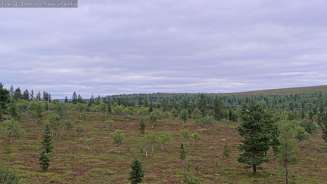 Kelikamerat Kuva Tie 4 Inari, Saariselkä, Kaunispää, Inari, Lappi