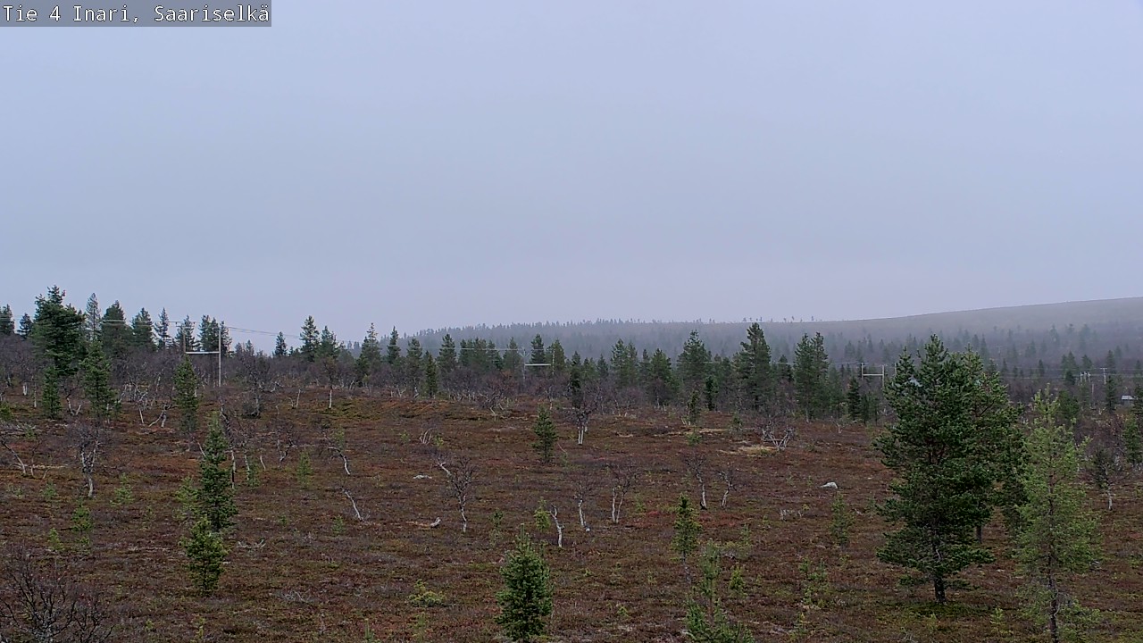 Kelikamerat Kuva Tie 4 Inari, Saariselkä, Kaunispää, Inari, Lappi