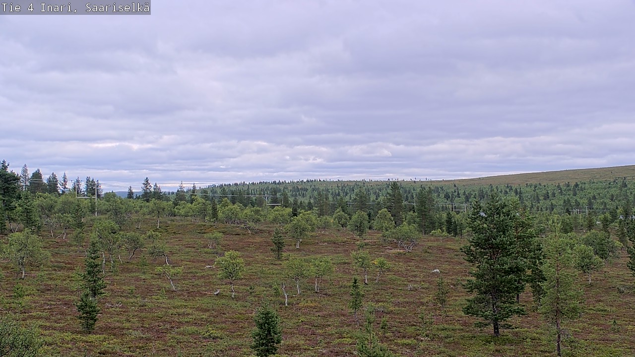 Kelikamerat Kuva Tie 4 Inari, Saariselkä, Kaunispää, Inari, Lappi
