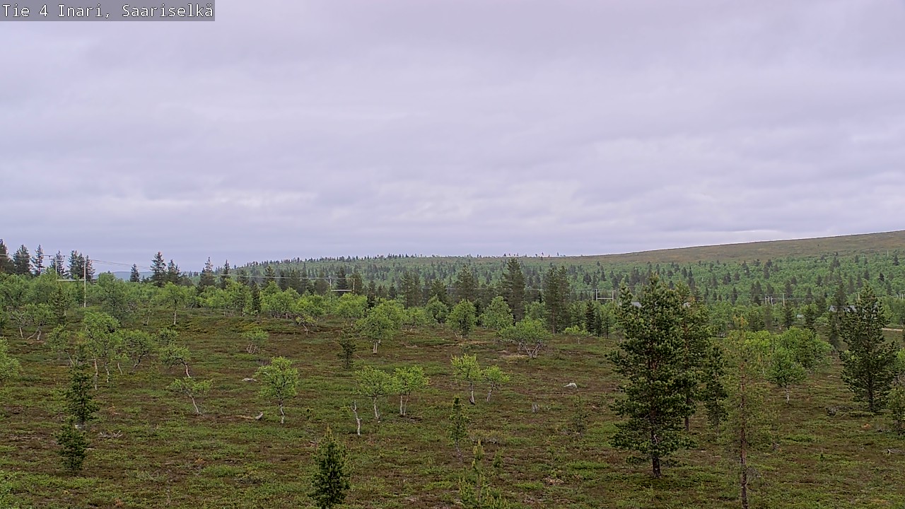 Kelikamerat Kuva Tie 4 Inari, Saariselkä, Kaunispää, Inari, Lappi