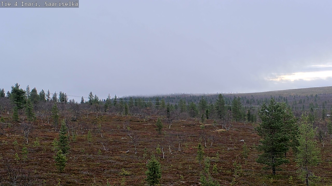 Kelikamerat Kuva Tie 4 Inari, Saariselkä, Kaunispää, Inari, Lappi