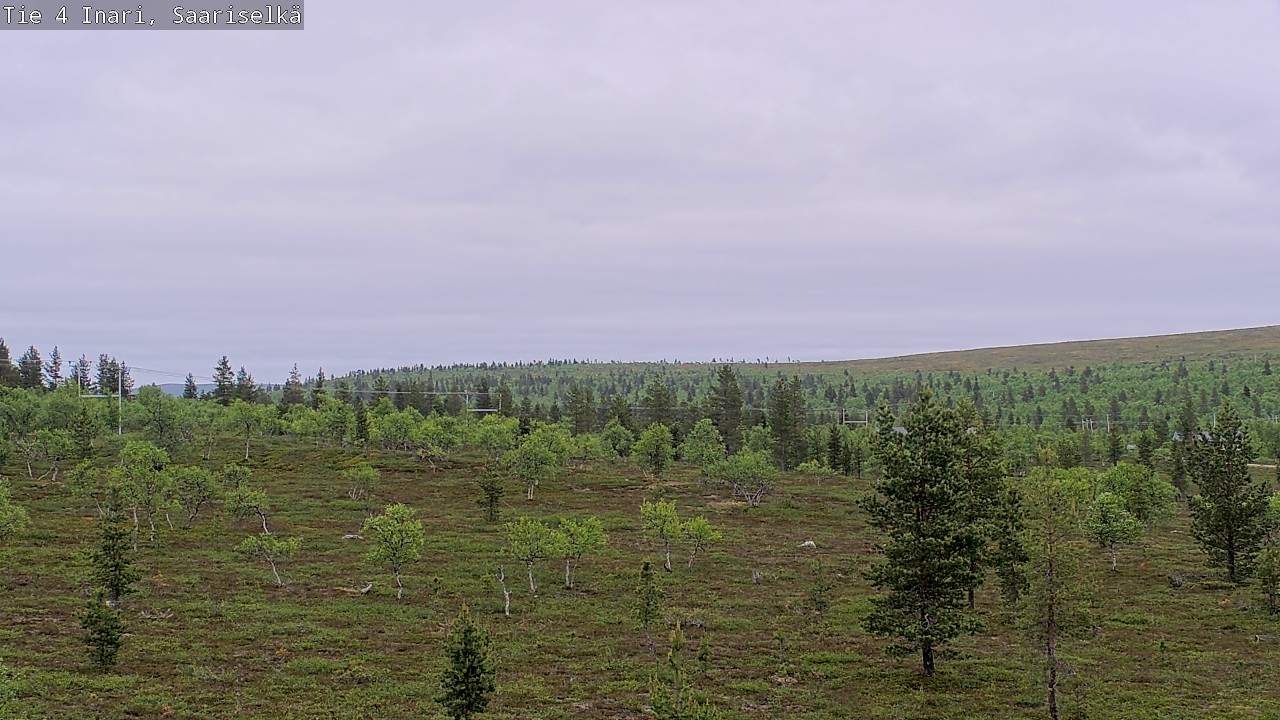 Kelikamerat Kuva Tie 4 Inari, Saariselkä, Kaunispää, Inari, Lappi