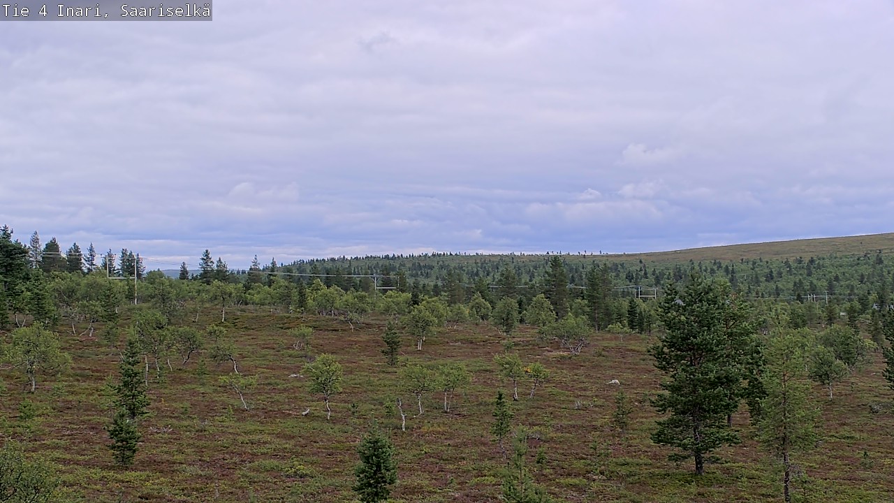 Kelikamerat Kuva Tie 4 Inari, Saariselkä, Kaunispää, Inari, Lappi