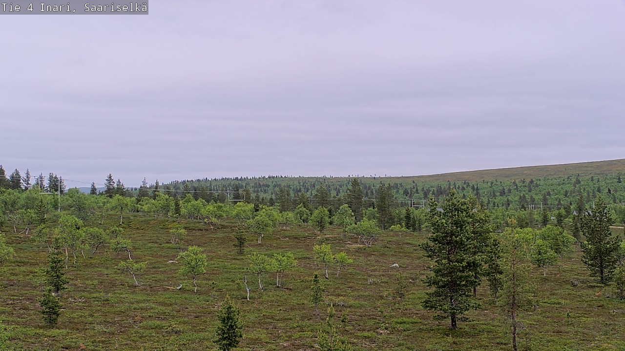 Kelikamerat Kuva Tie 4 Inari, Saariselkä, Kaunispää, Inari, Lappi