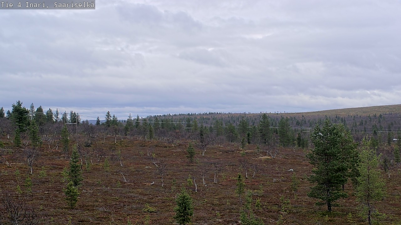 Kelikamerat Kuva Tie 4 Inari, Saariselkä, Kaunispää, Inari, Lappi