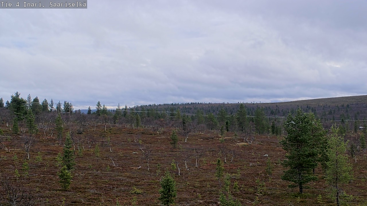 Kelikamerat Kuva Tie 4 Inari, Saariselkä, Kaunispää, Inari, Lappi