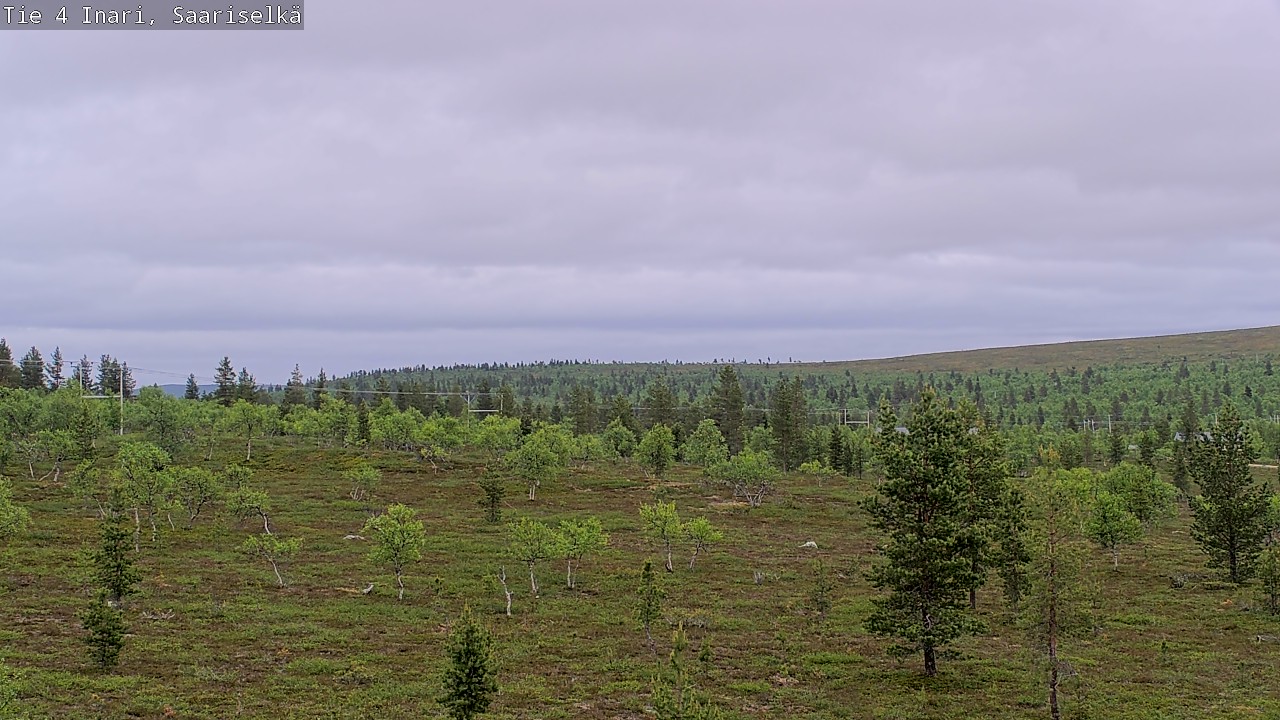 Kelikamerat Kuva Tie 4 Inari, Saariselkä, Kaunispää, Inari, Lappi