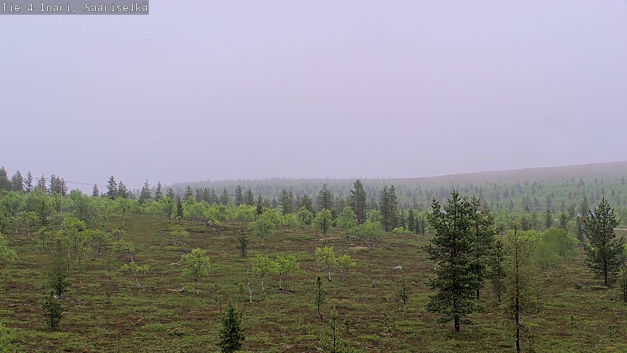 Weather Camera Image Väg 4 Enare, Saariselkä, Kaunispää, Inari, Lappi
