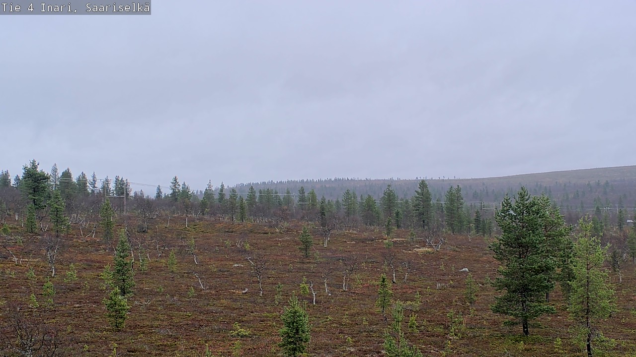 Weather Camera Image Road 4 Inari, Saariselkä, Kaunispää, Inari, Lappi