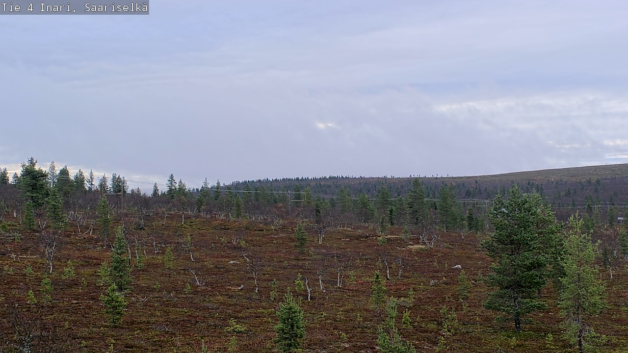 Kelikamerat Kuva Tie 4 Inari, Saariselkä, Kaunispää, Inari, Lappi
