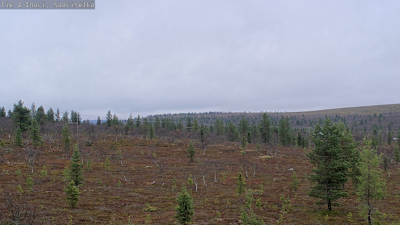 Weather Camera Image Road 4 Inari, Saariselkä, Kaunispää, Inari, Lappi