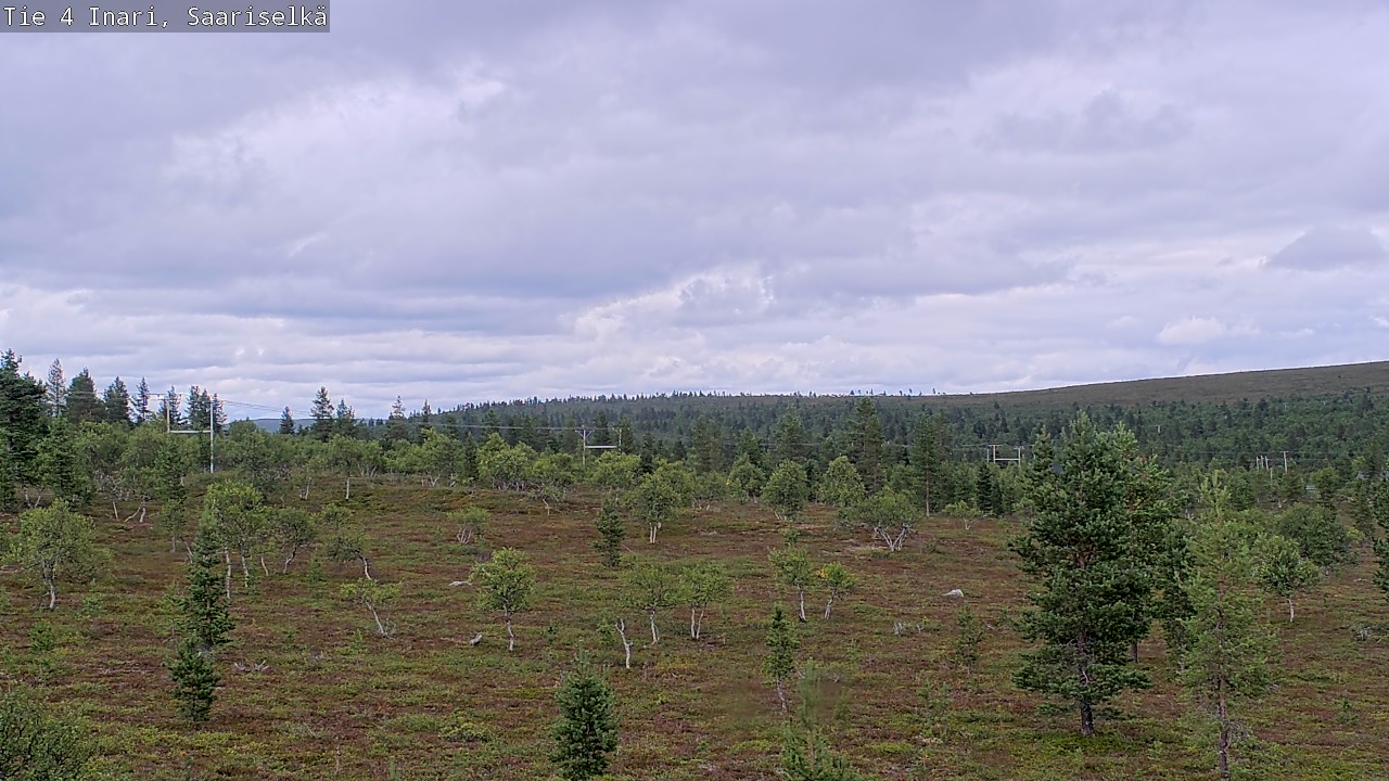 Kelikamerat Kuva Tie 4 Inari, Saariselkä, Kaunispää, Inari, Lappi