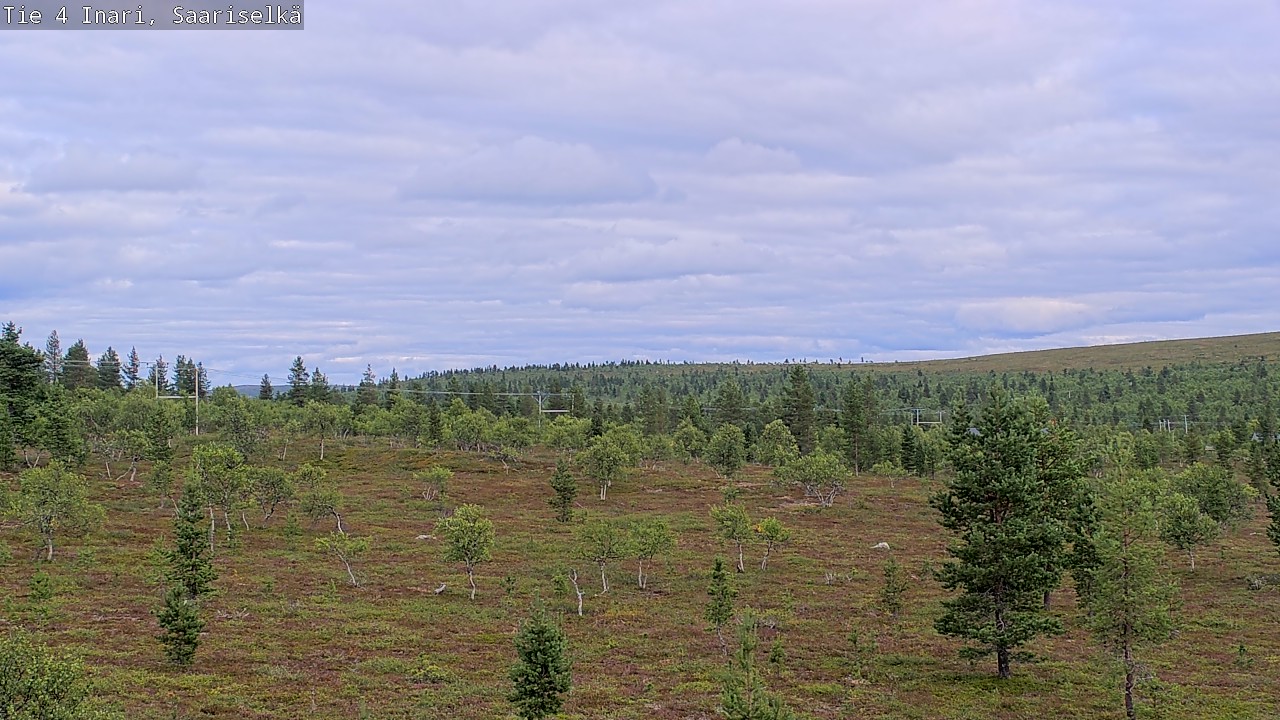 Kelikamerat Kuva Tie 4 Inari, Saariselkä, Kaunispää, Inari, Lappi
