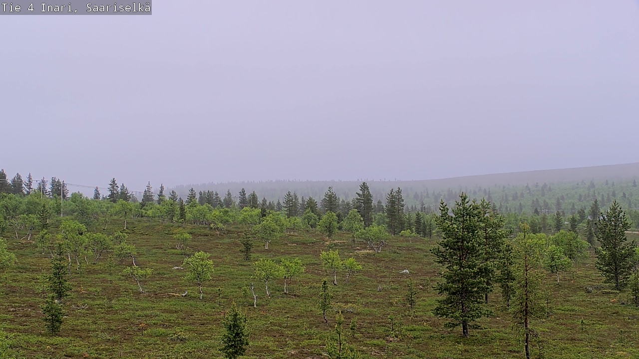 Kelikamerat Kuva Tie 4 Inari, Saariselkä, Kaunispää, Inari, Lappi