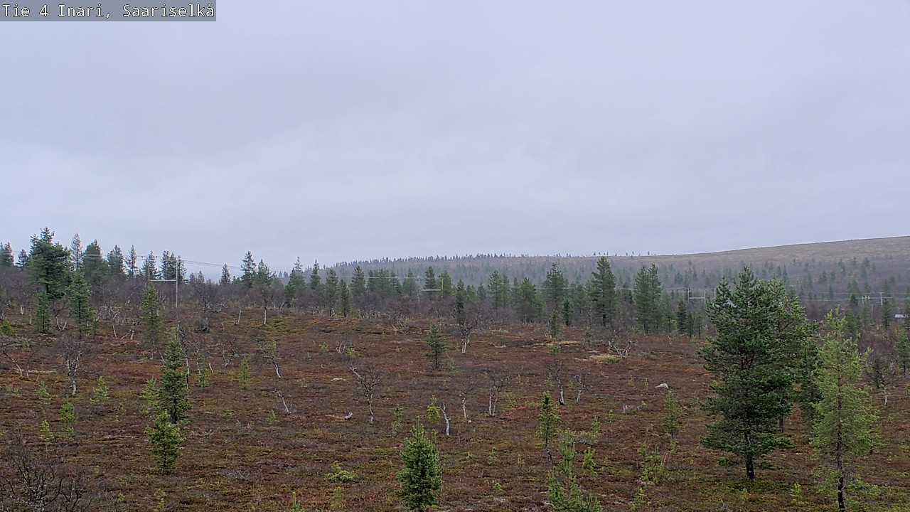 Weather Camera Image Road 4 Inari, Saariselkä, Kaunispää, Inari, Lappi