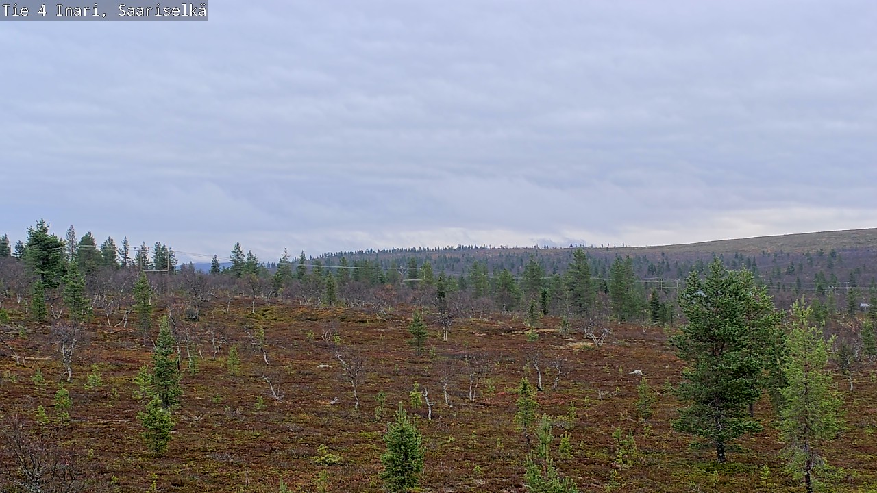 Kelikamerat Kuva Tie 4 Inari, Saariselkä, Kaunispää, Inari, Lappi