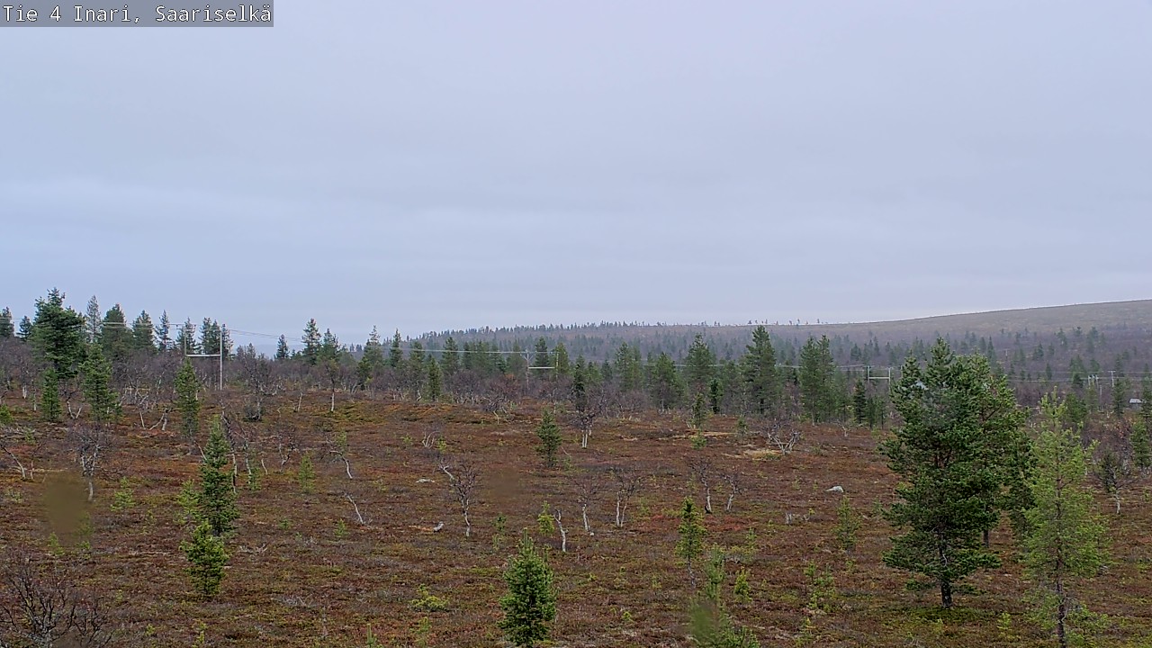 Kelikamerat Kuva Tie 4 Inari, Saariselkä, Kaunispää, Inari, Lappi