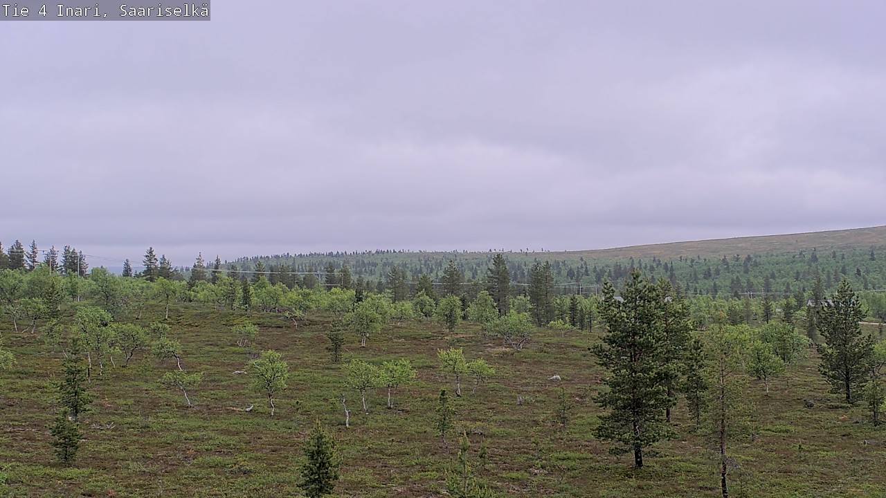 Kelikamerat Kuva Tie 4 Inari, Saariselkä, Kaunispää, Inari, Lappi