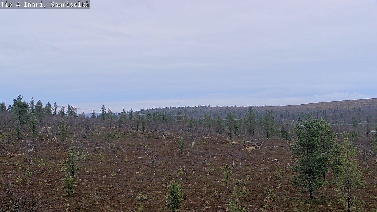Kelikamerat Kuva Tie 4 Inari, Saariselkä, Kaunispää, Inari, Lappi
