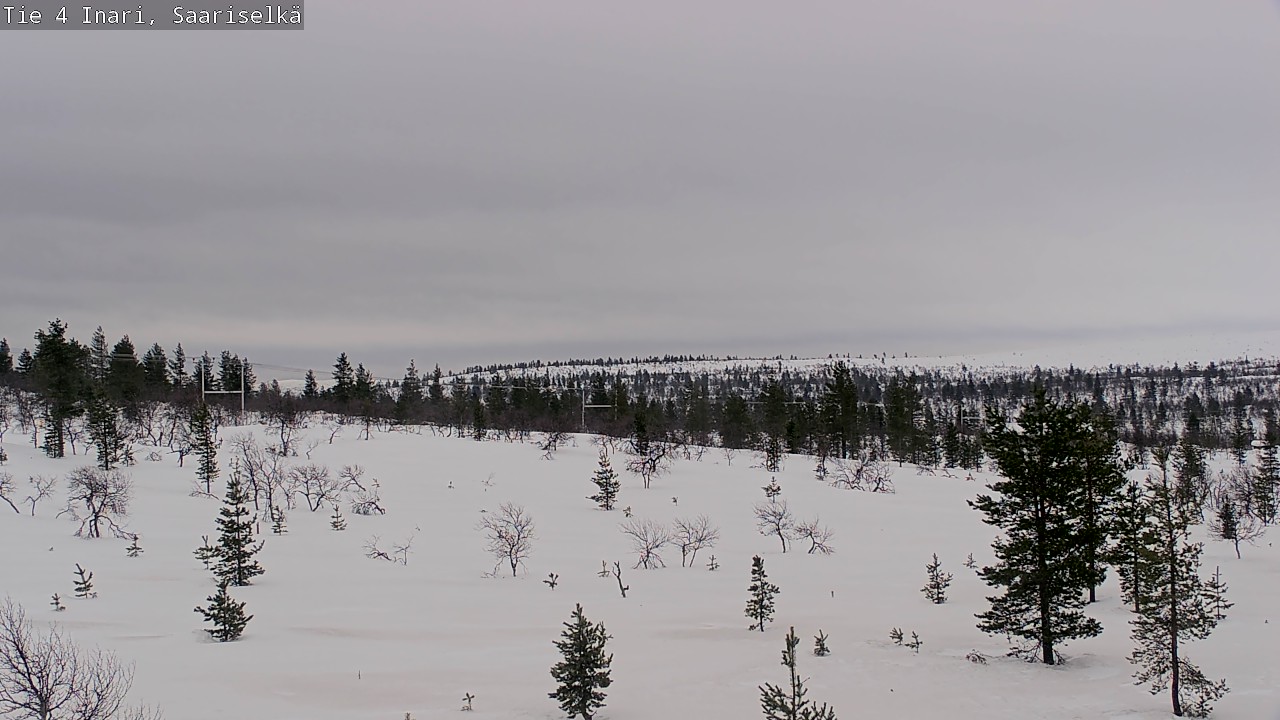 Kelikamerat Kuva Tie 4 Inari, Saariselkä, Kaunispää, Inari, Lappi