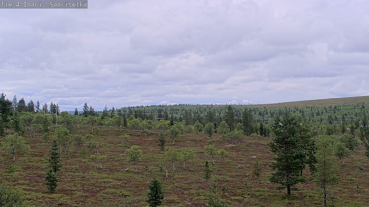 Kelikamerat Kuva Tie 4 Inari, Saariselkä, Kaunispää, Inari, Lappi