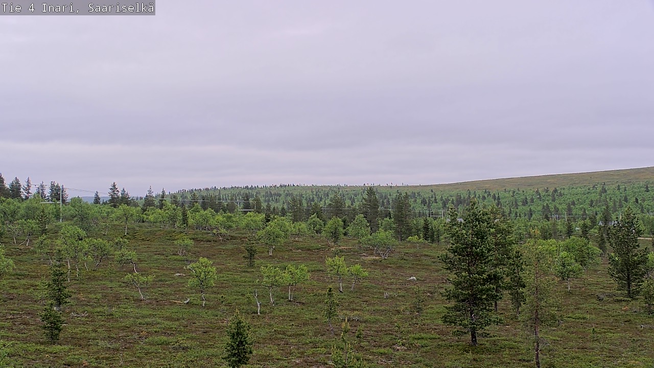 Kelikamerat Kuva Tie 4 Inari, Saariselkä, Kaunispää, Inari, Lappi