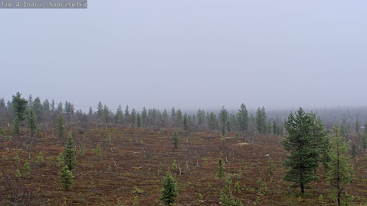 Weather Camera Image Road 4 Inari, Saariselkä, Kaunispää, Inari, Lappi