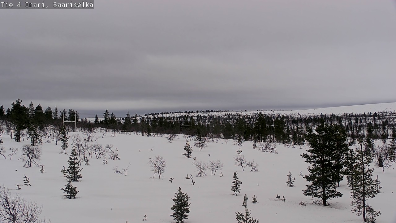 Kelikamerat Kuva Tie 4 Inari, Saariselkä, Kaunispää, Inari, Lappi