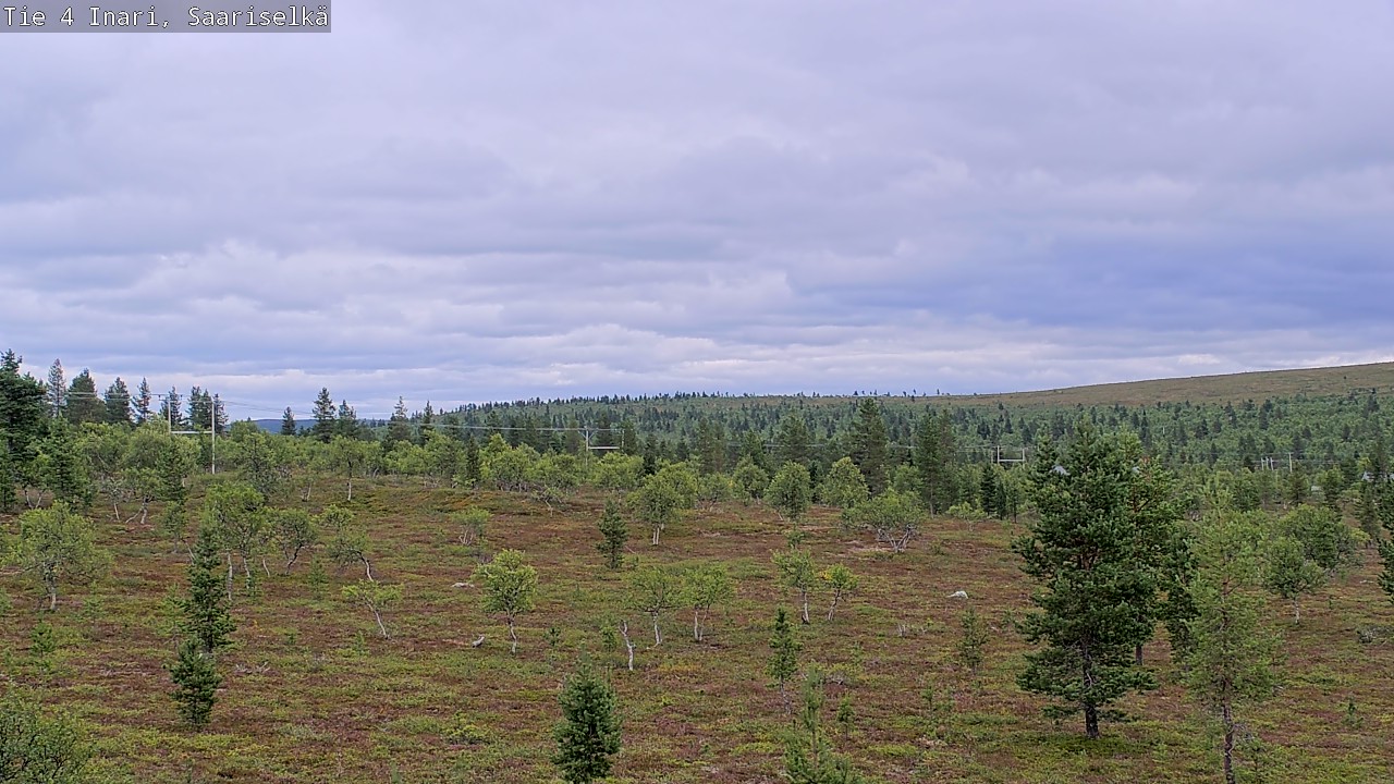 Kelikamerat Kuva Tie 4 Inari, Saariselkä, Kaunispää, Inari, Lappi