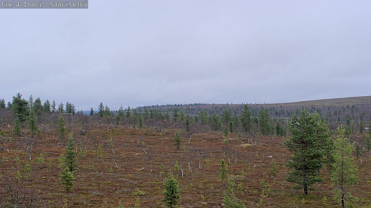 Weather Camera Image Road 4 Inari, Saariselkä, Kaunispää, Inari, Lappi