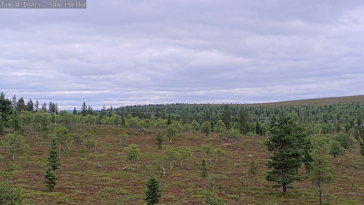Kelikamerat Kuva Tie 4 Inari, Saariselkä, Kaunispää, Inari, Lappi