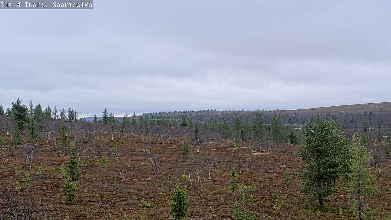 Kelikamerat Kuva Tie 4 Inari, Saariselkä, Kaunispää, Inari, Lappi