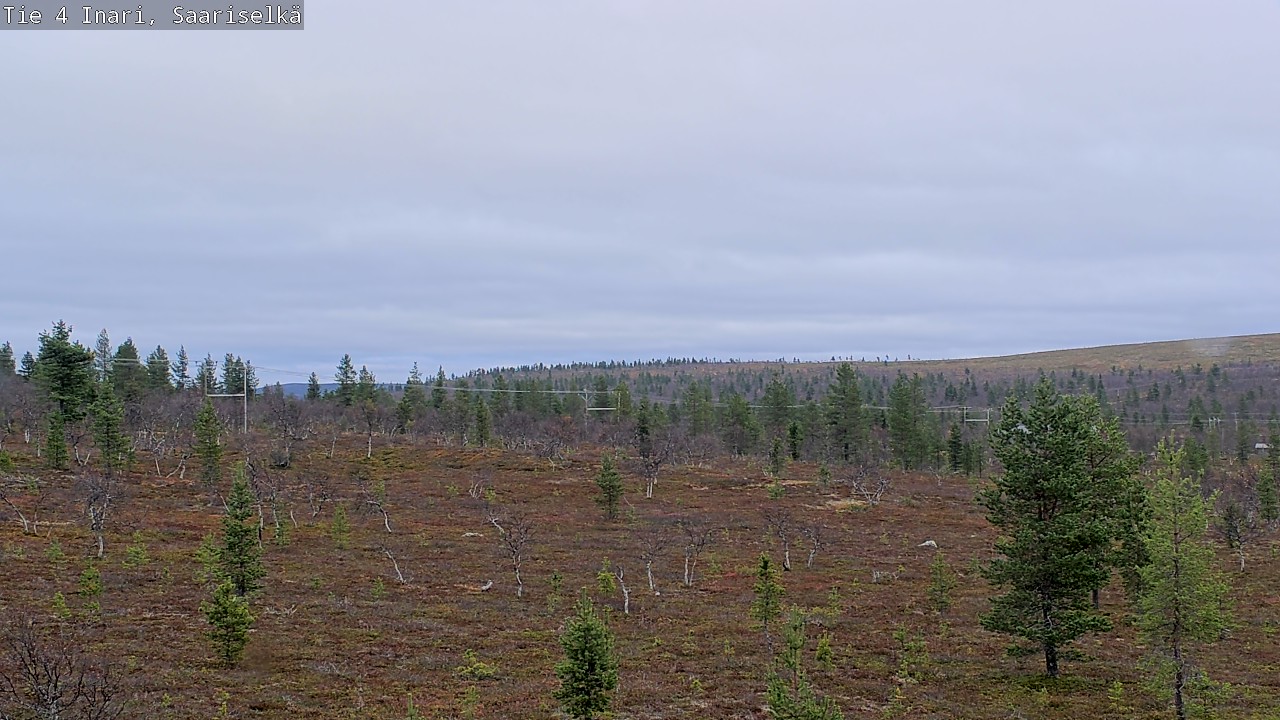 Kelikamerat Kuva Tie 4 Inari, Saariselkä, Kaunispää, Inari, Lappi