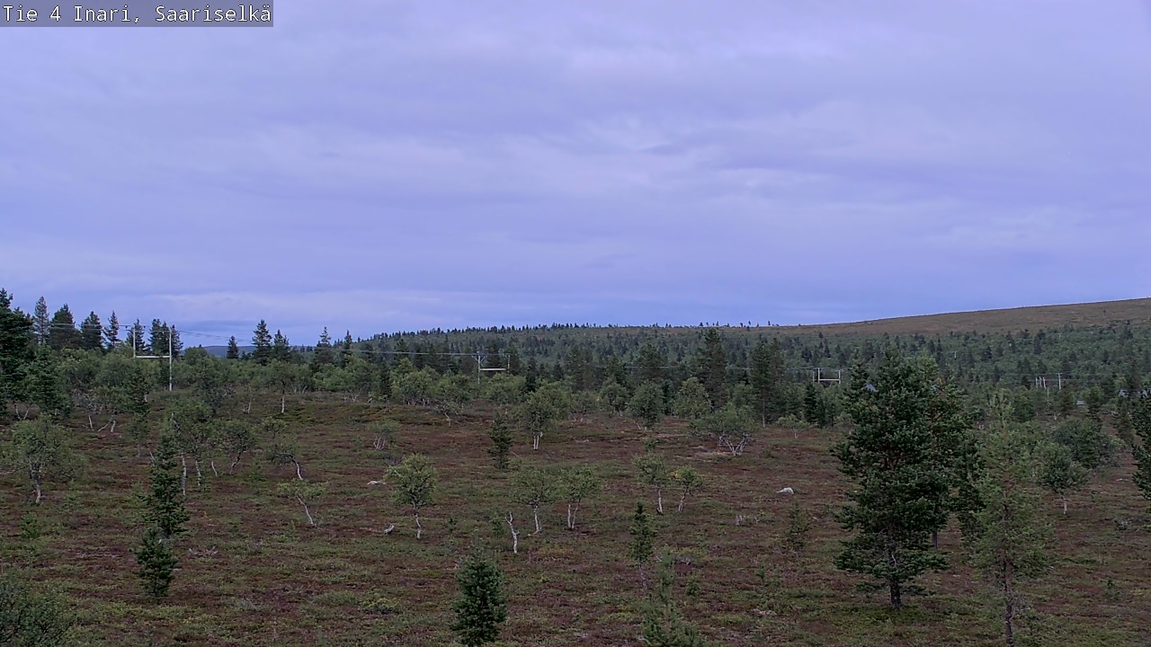 Kelikamerat Kuva Tie 4 Inari, Saariselkä, Kaunispää, Inari, Lappi
