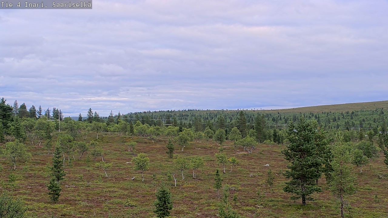 Kelikamerat Kuva Tie 4 Inari, Saariselkä, Kaunispää, Inari, Lappi
