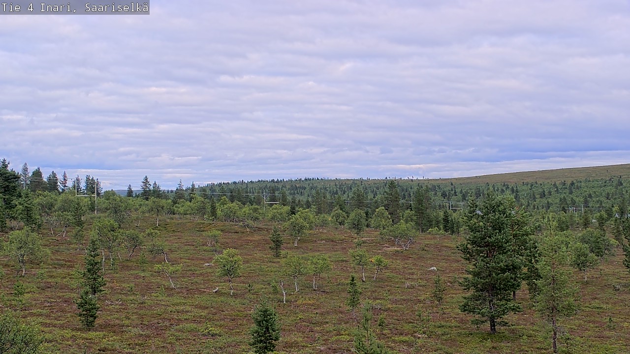 Kelikamerat Kuva Tie 4 Inari, Saariselkä, Kaunispää, Inari, Lappi