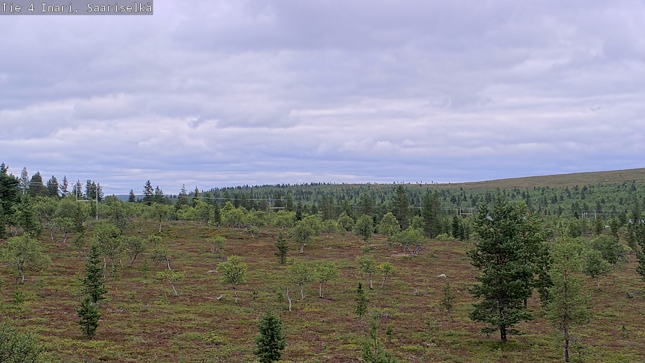 Kelikamerat Kuva Tie 4 Inari, Saariselkä, Kaunispää, Inari, Lappi