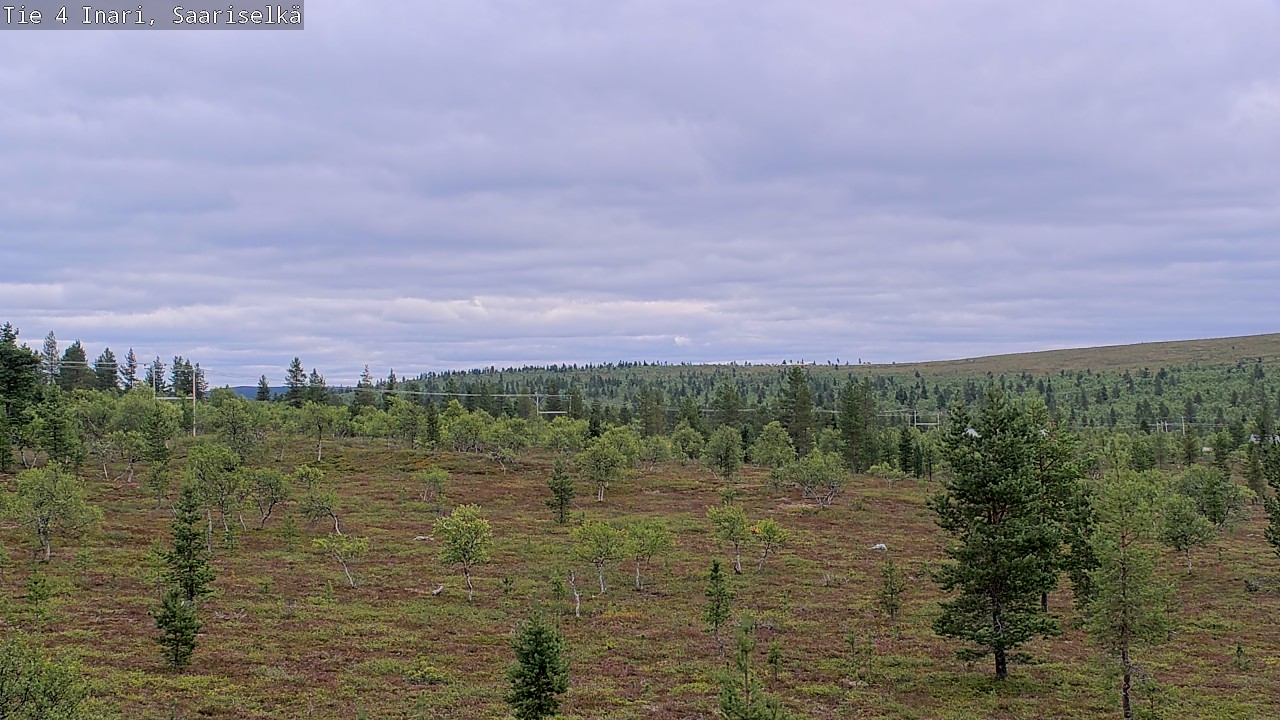 Kelikamerat Kuva Tie 4 Inari, Saariselkä, Kaunispää, Inari, Lappi