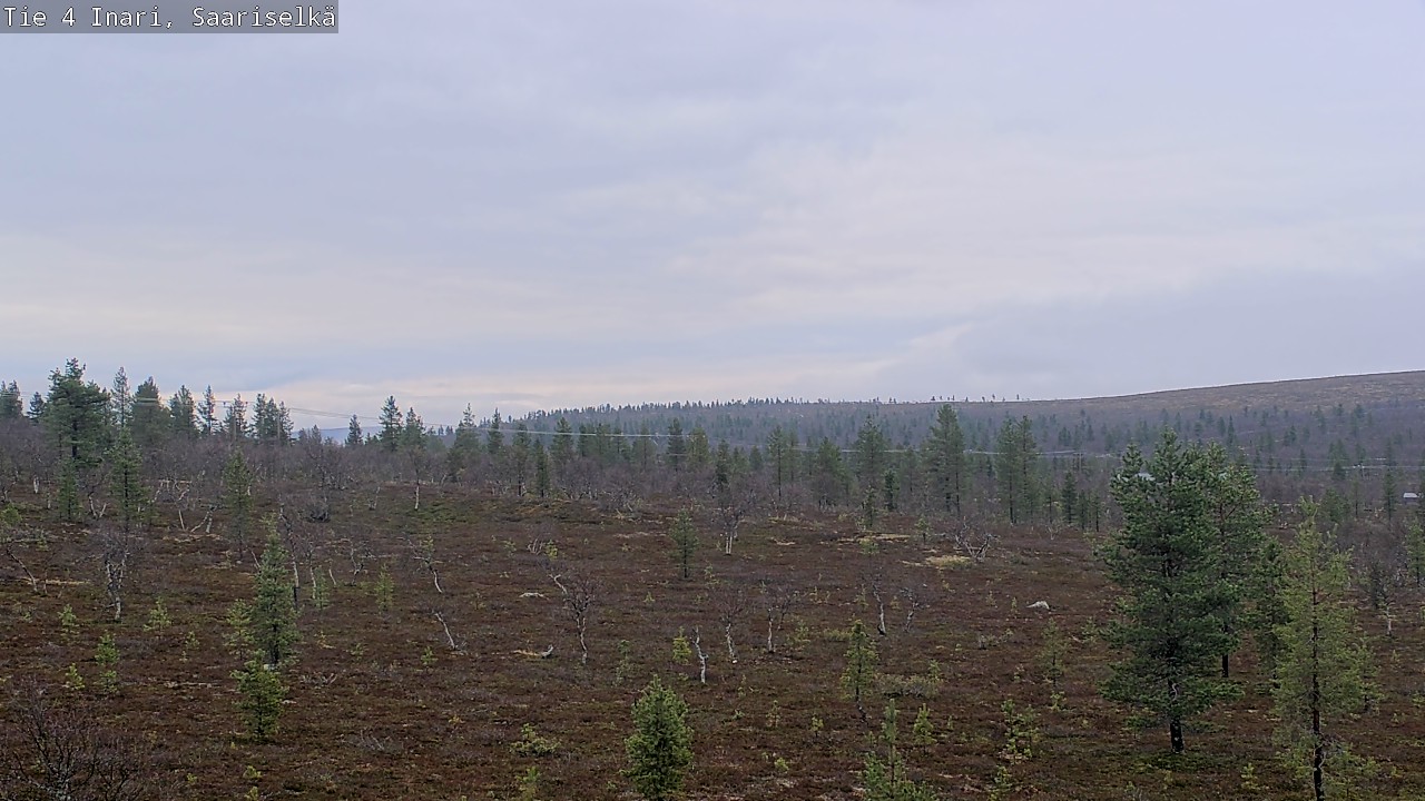 Kelikamerat Kuva Tie 4 Inari, Saariselkä, Kaunispää, Inari, Lappi