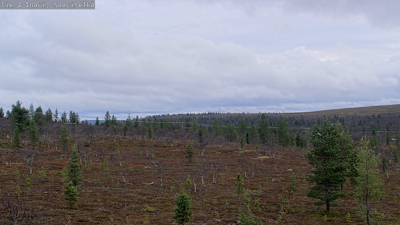 Kelikamerat Kuva Tie 4 Inari, Saariselkä, Kaunispää, Inari, Lappi