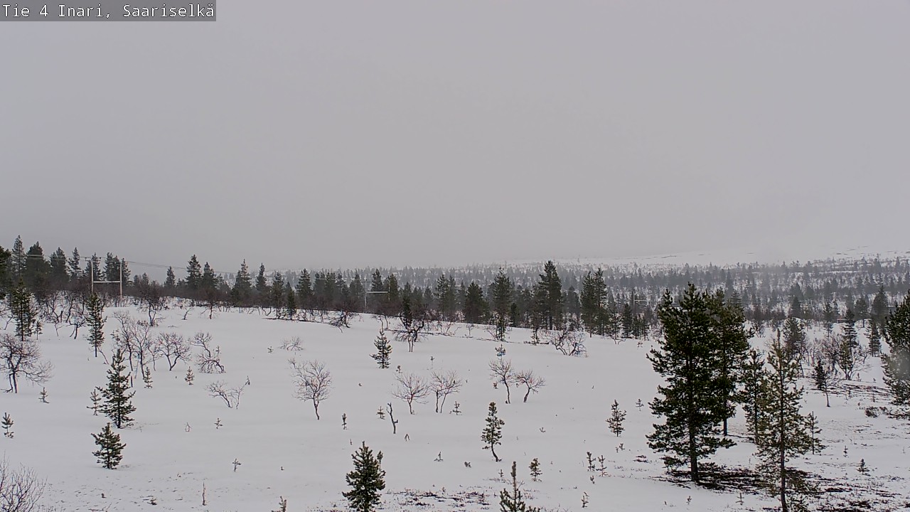 Kelikamerat Kuva Tie 4 Inari, Saariselkä, Kaunispää, Inari, Lappi